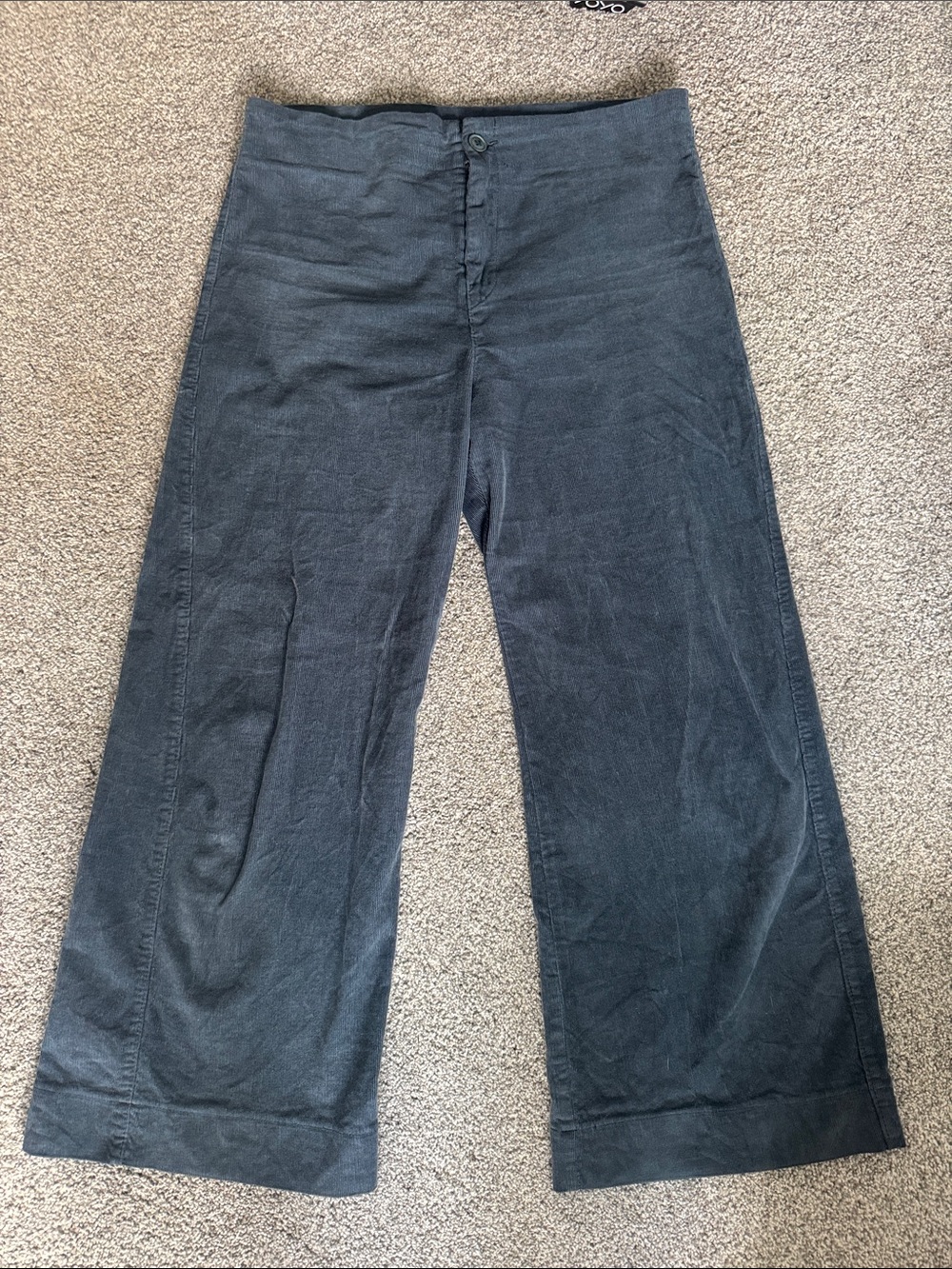 Prairie Underground Blue Corduroy Knack Wide Leg Pants